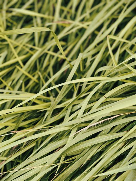 Earth No Background 的图像结果