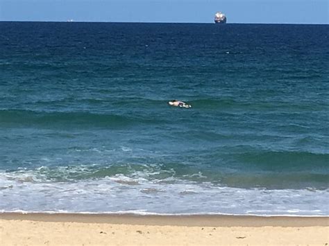 SUNSHINE COAST HOLIDAY RESORTS (Mooloolaba) - Apartment Reviews ...