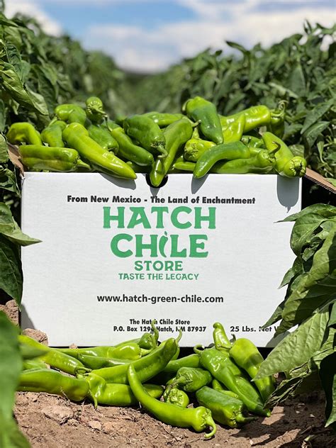 Hatch Green Chile - Hatch Chile from Hatch New Mexico - The Hatch Chile ...
