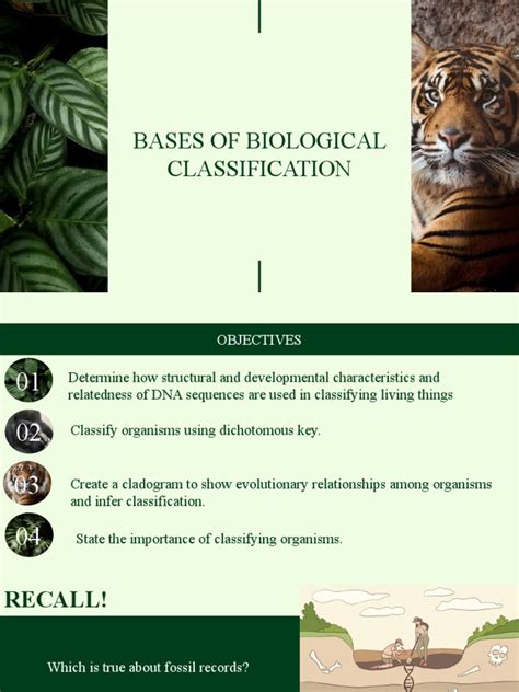 Image result for Using Biological Key Classification System