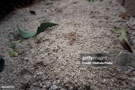 Image result for Decomposed Granite Path