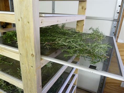 drying herbs | Vegetable garden diy, Herb drying racks, Drying herbs