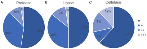 Diversity and Biocontrol Potential of Cultivable Endophytic Bacteria ...