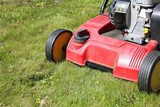 rasen neu anlegen ohne umgraben rasen neu anlegen ohne umgraben 187 so geht s rasen neu anlegen ohne umgraben rasen neu anlegen ohne umgraben 187 so geht s