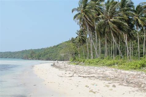 KARIMUN JAWA INN (Java) - Hotel Reviews & Photos - Tripadvisor