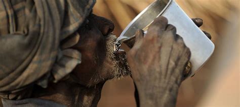Phalodi city in Rajasthan sizzles at 51°C, the highest-ever temperature ...