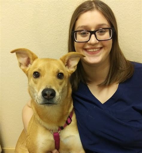 Auburn South Veterinary Hospital - Auburn, WA - Our Staff