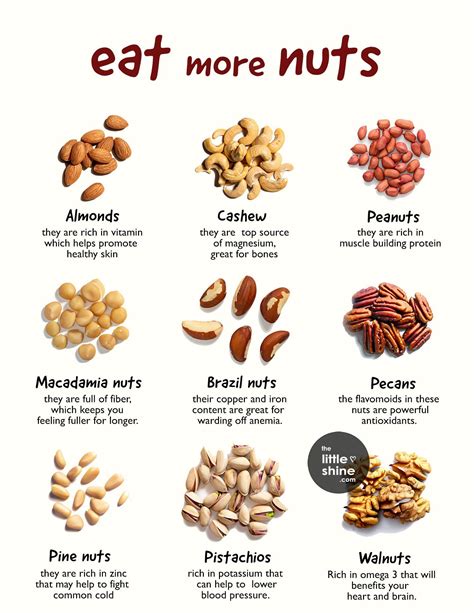 Eat More Nuts - Benefits and Uses of Different Types of Nuts - The Little Shine en 2024 ...