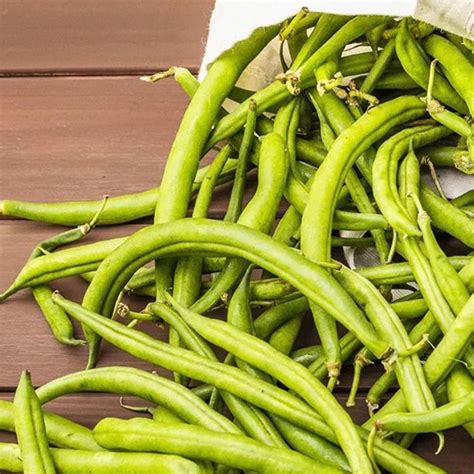 Buy Cowpea Beans Seeds Online – Bombay Seeds