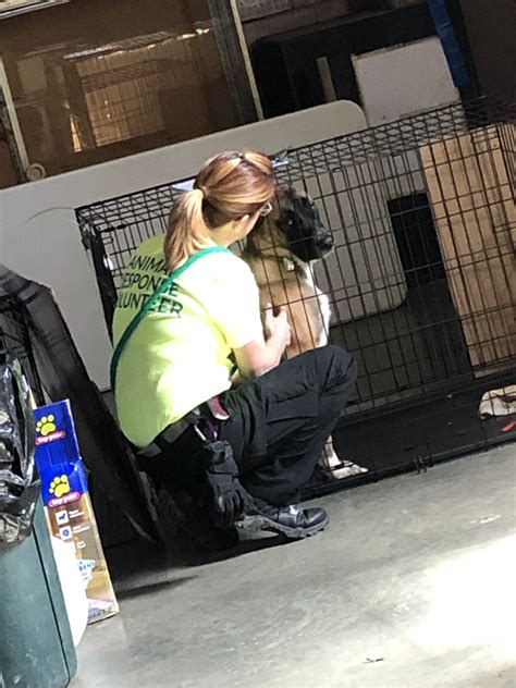 News Archives - Kansas State Animal Response Team