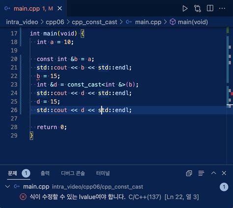 Const Cast in C Basic Examples 的图像结果