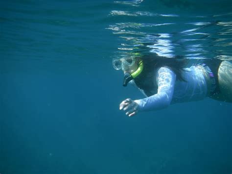 Diving in Maui - Hellotickets