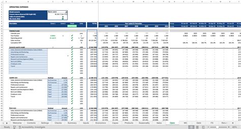 Financial Model Example 的图像结果