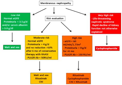 Advances in Membranous Nephropathy