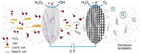 H2O2 Catalyst 的图像结果