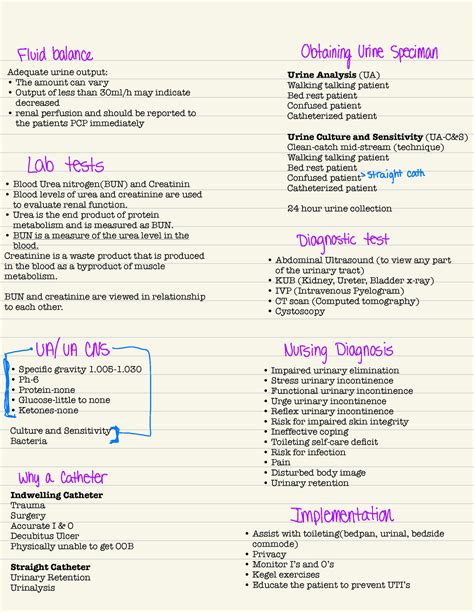 Funds 3 - fluid balance - Adequate urine output: The amount can vary ...