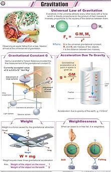 Buy STP34 | TeachingNest | Gravitation Chart (58x90 cm) | English ...