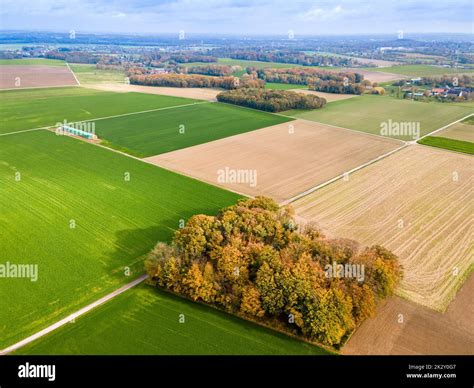 Aerial view of a pastures and arable land. Panorama over healthy green ...