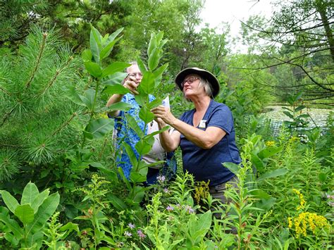 You’ve Got What It Takes to Become a Master Naturalist | Audubon