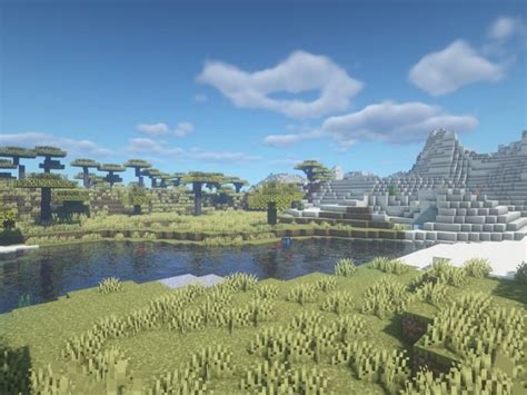 Image result for Minecraft Shaders 1.16.5 Download Java