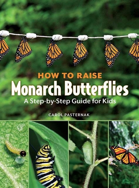 How to Raise Monarch Butterflies: A Step-by-Step Guide for Kids (How It ...