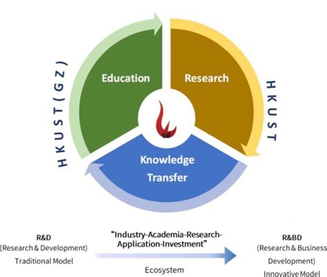 Knowledge Transfer Training Module 的图像结果