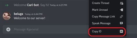 Carl Bot Logging 的图像结果