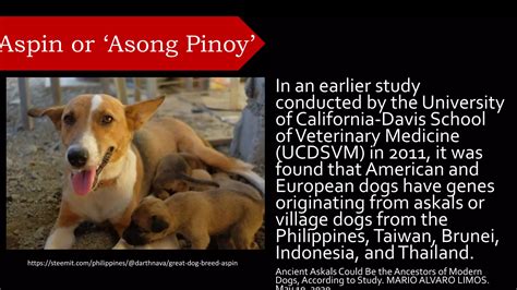 Descent with Modifications.pptx