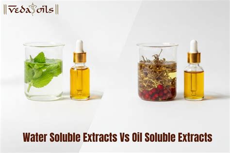 Water Soluble Extracts Vs Oil Soluble Extracts: Key Differences & Bene ...