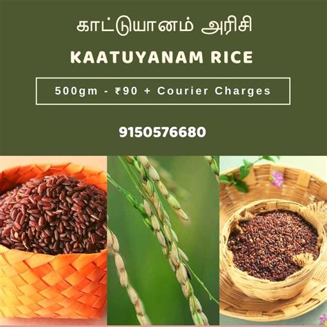 Kaatuyanam Rice ( காட்டு யானம் அரிசி )