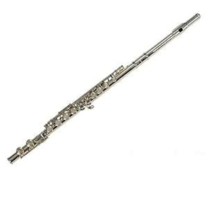 Vienna 16 Holes Key Flute 4YWFL-558 : Amazon.in: Musical Instruments