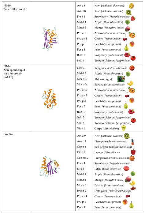 An Overview of Fruit Allergens: Structural, Functional, Phylogenetical ...