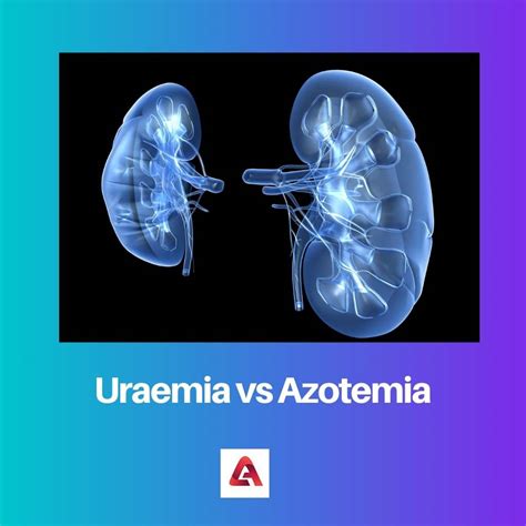 Uremia vs Azotemia: differenza e confronto