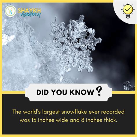 Did you Know? The world's largest snowflake ever recorded was 15 inches ...
