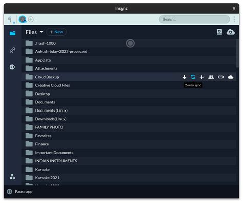 Image result for Insync Linux