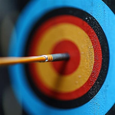 Bullseye Target Manager App 的图像结果