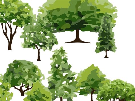 Tree Vector 的图像结果