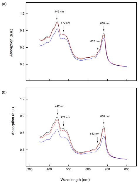 Impact of Salinity on the Energy Transfer between Pigment–Protein ...