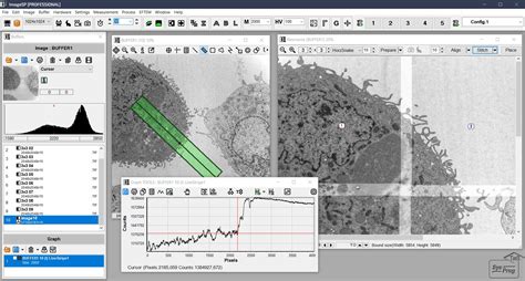 ImageScope Algorithm Software Logo 的图像结果
