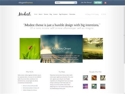 Divi. The Ultimate WordPress Theme And Visual Page Builder - YouTube