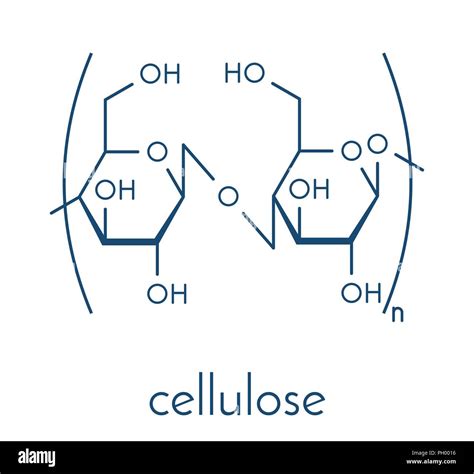 Fiber Chemical Structure