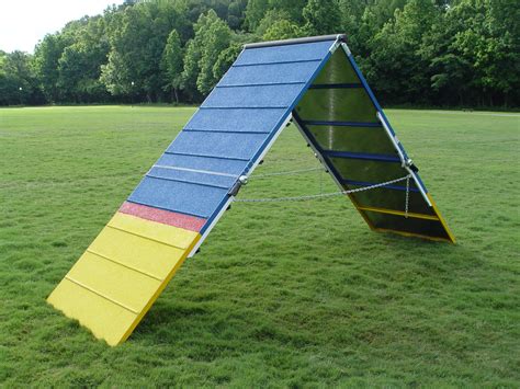 Dog Agility Equipment at Rachel Fairweather blog