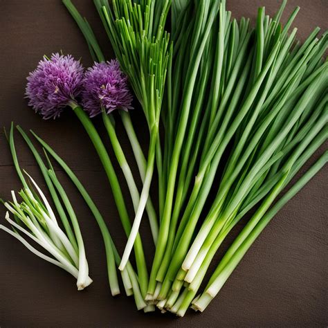 Chives vs Green Onions: Understanding the Differences