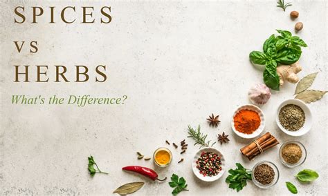 Spices vs Herbs: What's the Difference? - The Coconut Mama