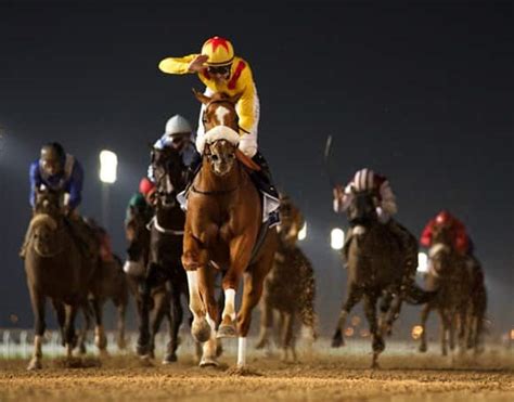 Your ultimate guide to sports in Dubai | Visit Dubai