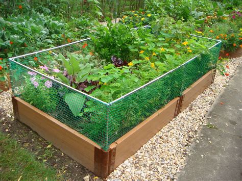 Raised bed garden fencing ideas | Hawk Haven