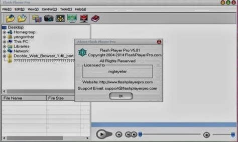 Image result for Flash Player Pro