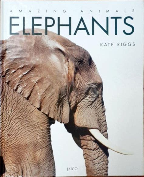 Amazing Animals - Elephants – Books and You