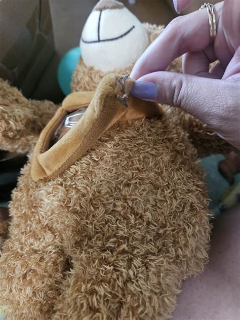 Buy Liliful Plush Bear with Voice Recorder Remembrance Stuffed Animal ...