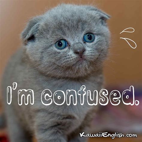 I’m confused. | Kawaii English